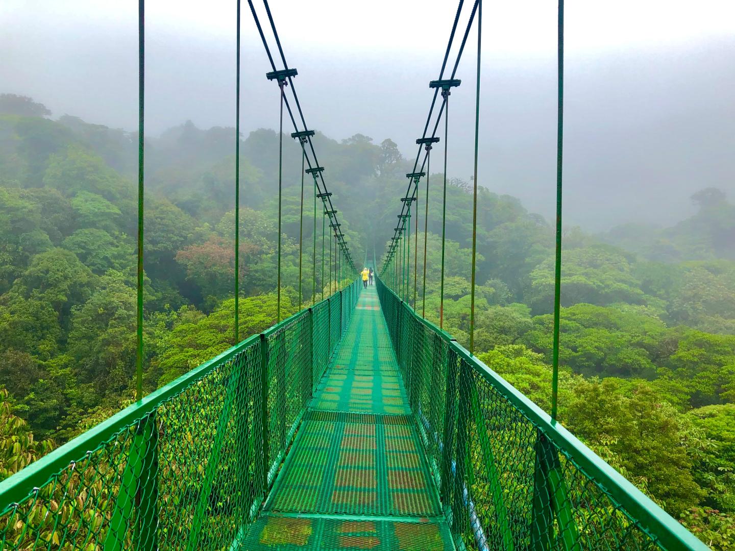 Top 9 Undiscovered Wilderness Retreats You Need to Explore Now monteverde cloud forest bridge walk costa rica