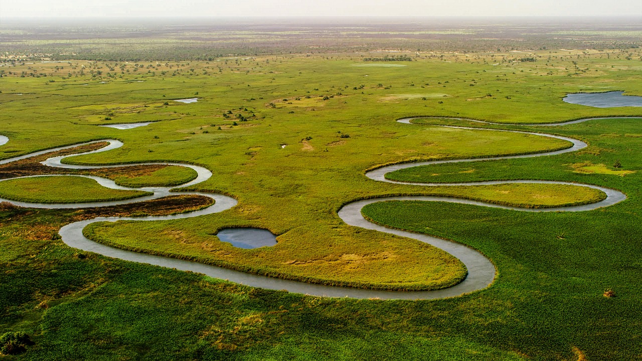 Top 12 Undiscovered River Cruises to Unveil Hidden Worlds okavango delta, river, landscape, aerials, drone, okavango delta, okavango delta, okavango delta, okavango delta, okavango delta, river, river, river, river, drone, drone
