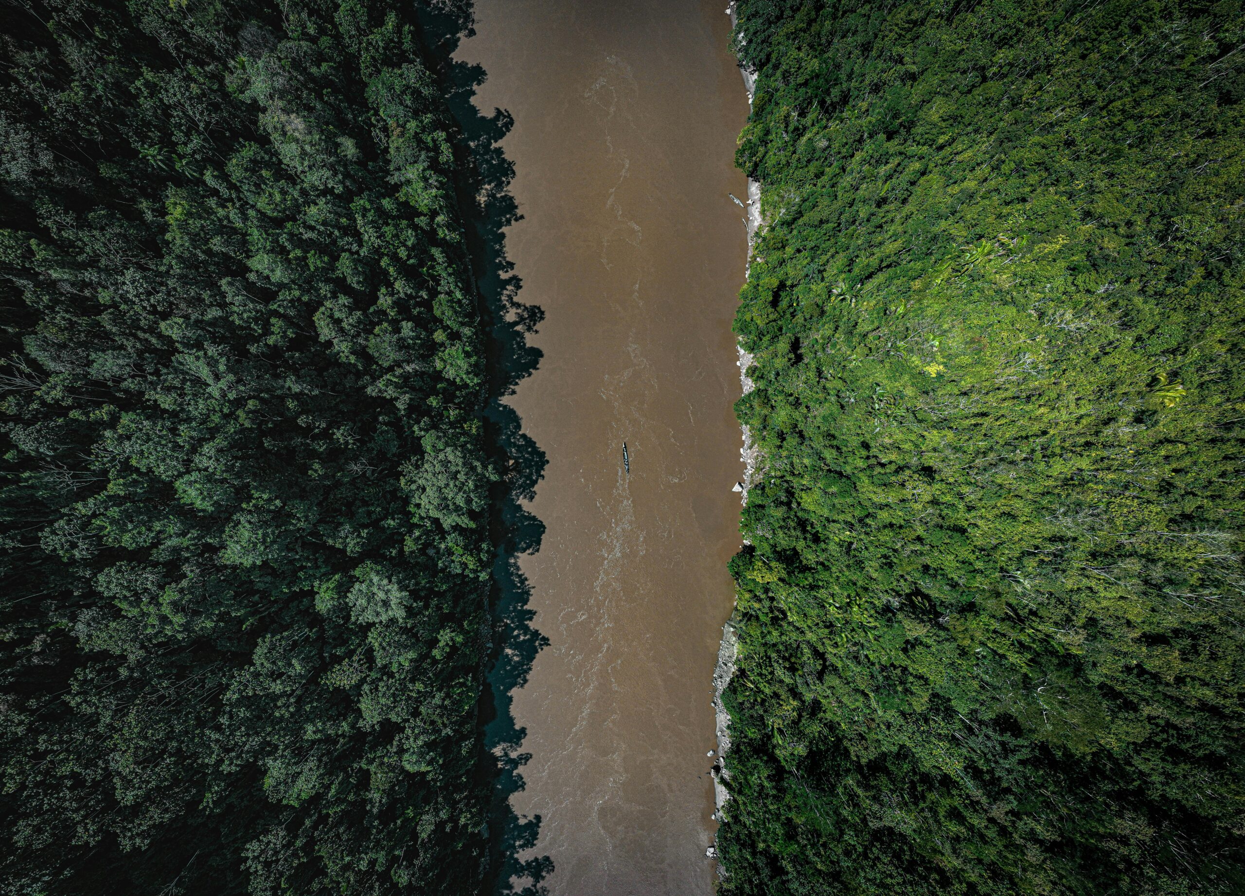 Top 12 Undiscovered River Cruises to Unveil Hidden Worlds A stunning aerial view of a river cutting through dense rainforest in Tarapoto, Peru.