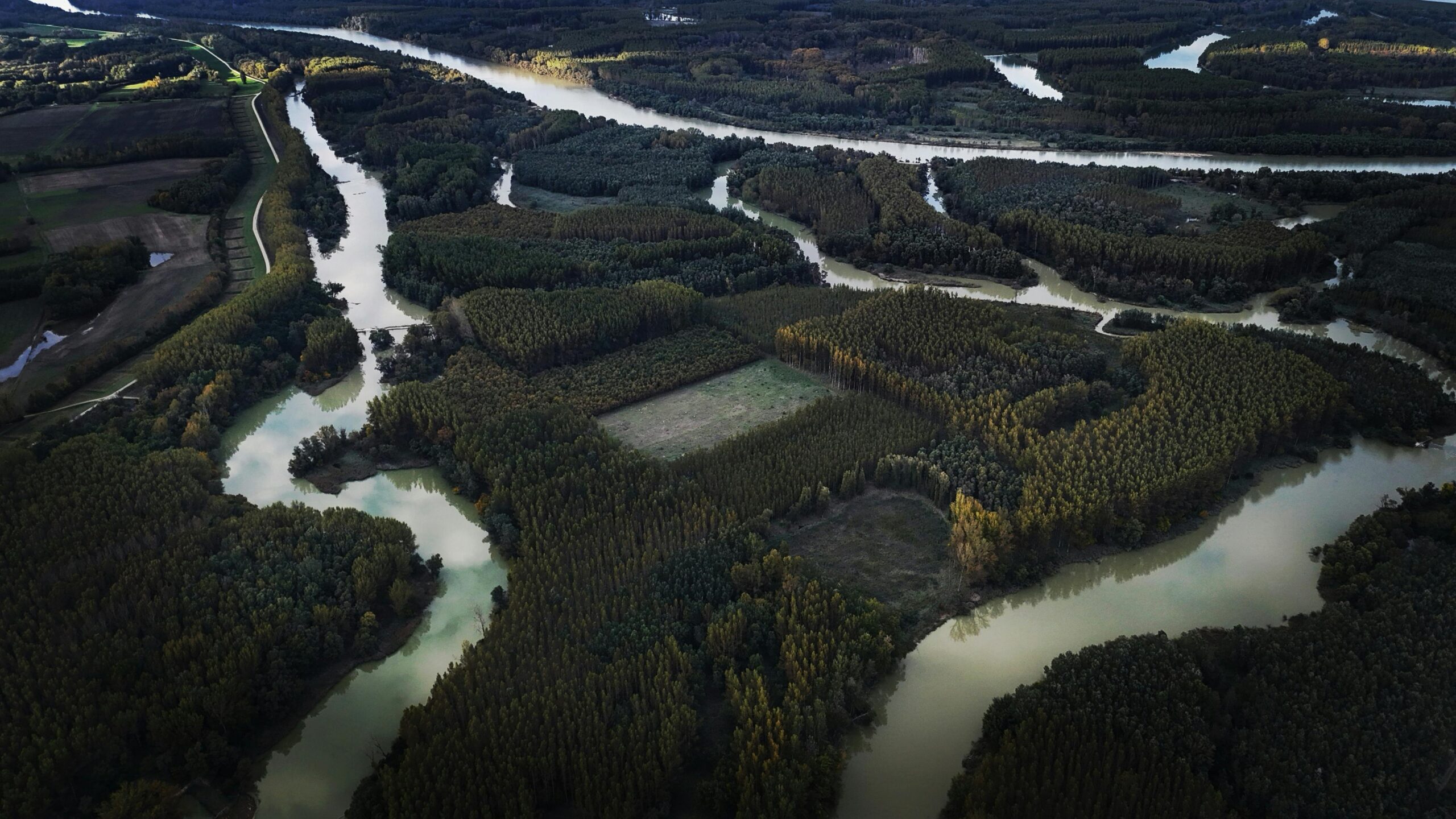 Top 12 Undiscovered River Cruises to Unveil Hidden Worlds A captivating aerial view showcases the meandering river cutting through a lush green forest landscape.