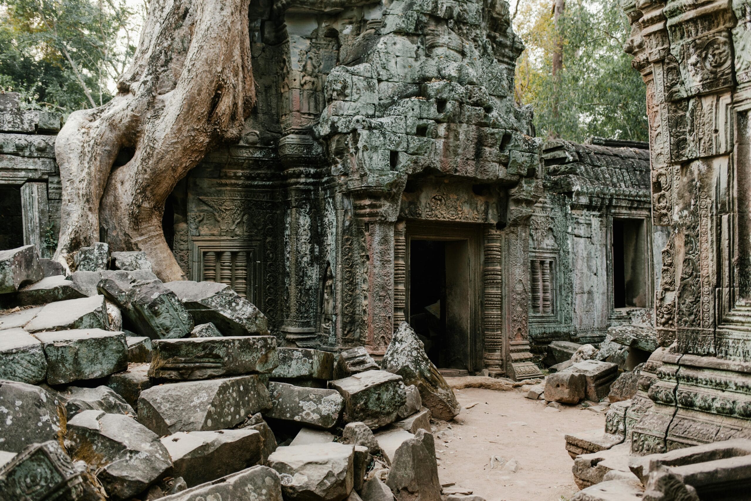 Explore the mystical ruins of Ta Prohm Temple engulfed by nature in Cambodia.